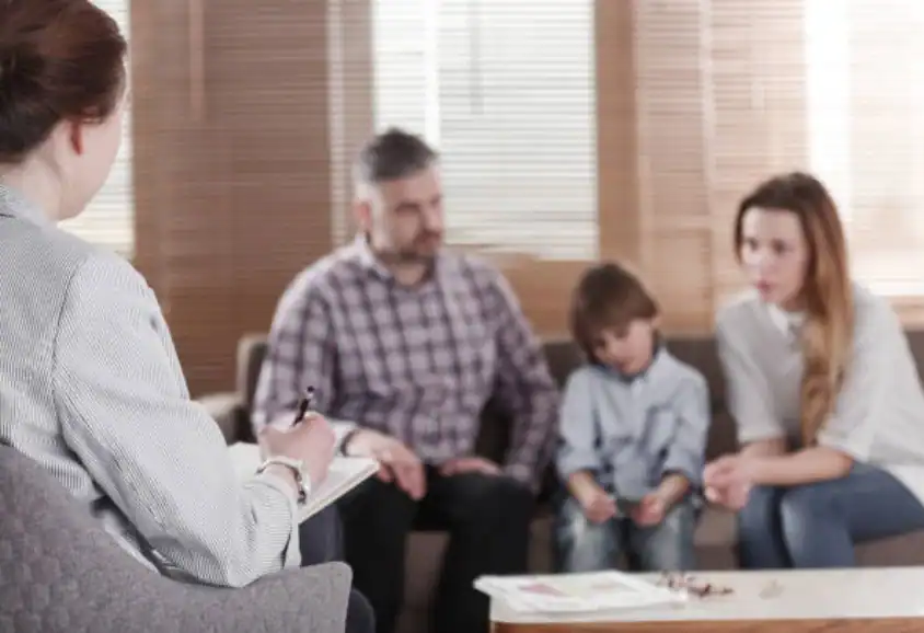 Different Parenting Styles and Expectations: Finding Common Ground Through Mediation Sandown